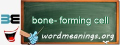 WordMeaning blackboard for bone-forming cell